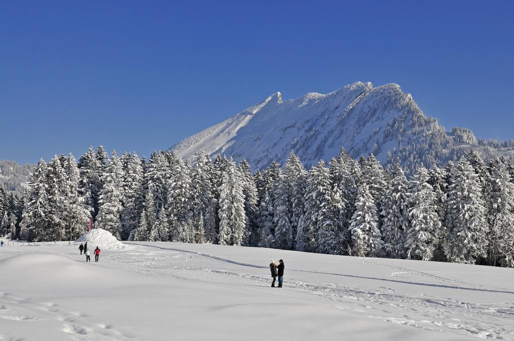 Hotel Sonne Amden